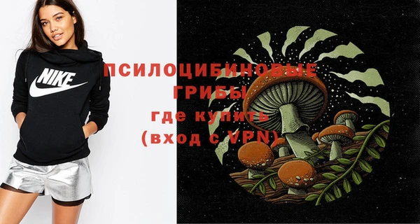 шишки Балабаново