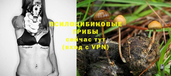 шишки Балабаново
