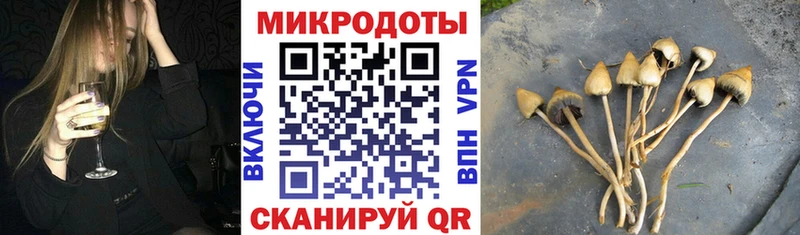 Псилоцибиновые грибы Cubensis  даркнет сайт  мориарти формула  Новопавловск  МЕГА зеркало 